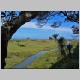 Waitakere Ranges 087.jpg